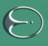 廣東穗星電纜實(shí)業(yè)有限公司 